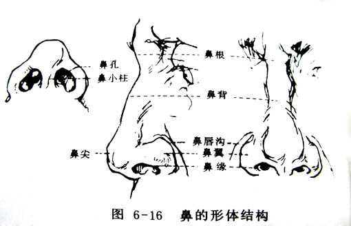 photoshop 鼠绘漂亮的金发模特(五官发丝)