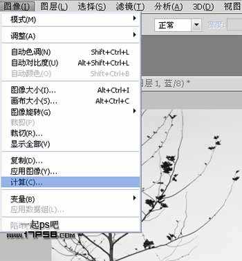 Photoshop利用通道和计算命令抠出复杂物体的实例教程