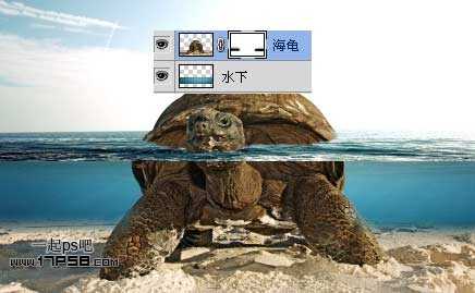 photoshop合成制作海龟岛­自然场景