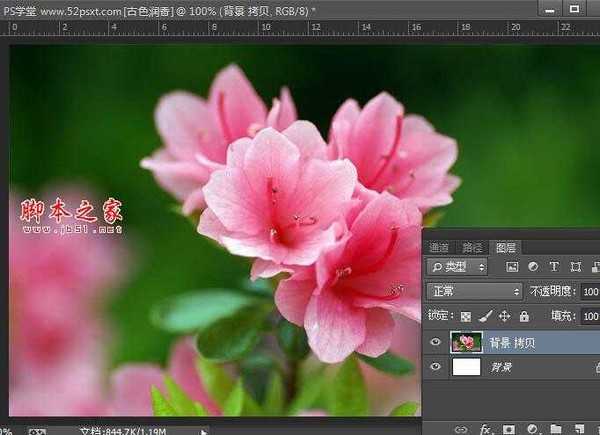 Photoshop将花卉特写图片打造具有古典韵味的黄褐色效果