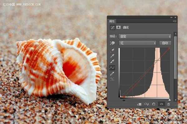 Photoshop调出诗意的沙滩贝壳