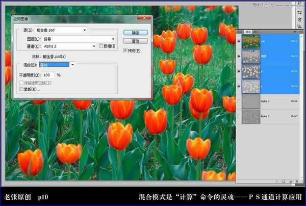 Photoshop利用计算命令计算出精确选区调整图片颜色