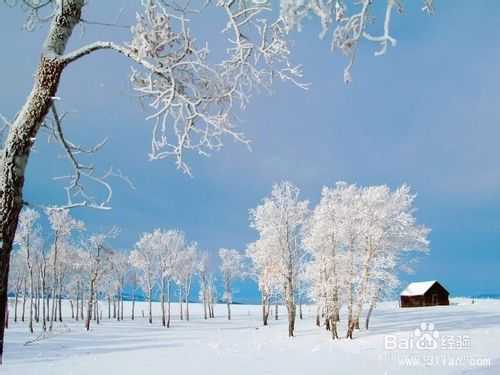 如何拍摄飞舞的雪花?雪花拍摄技巧