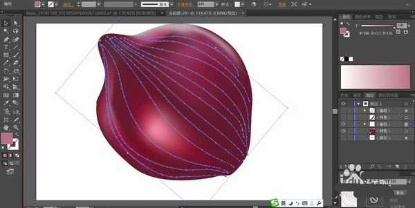 ai怎么绘制三维立体的逼真洋葱素材?