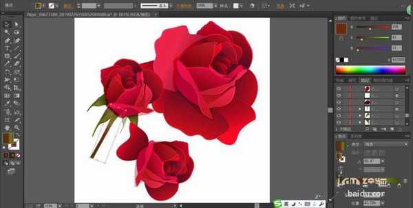 ai怎么设计一束逼真的玫瑰花? ai玫瑰花画法